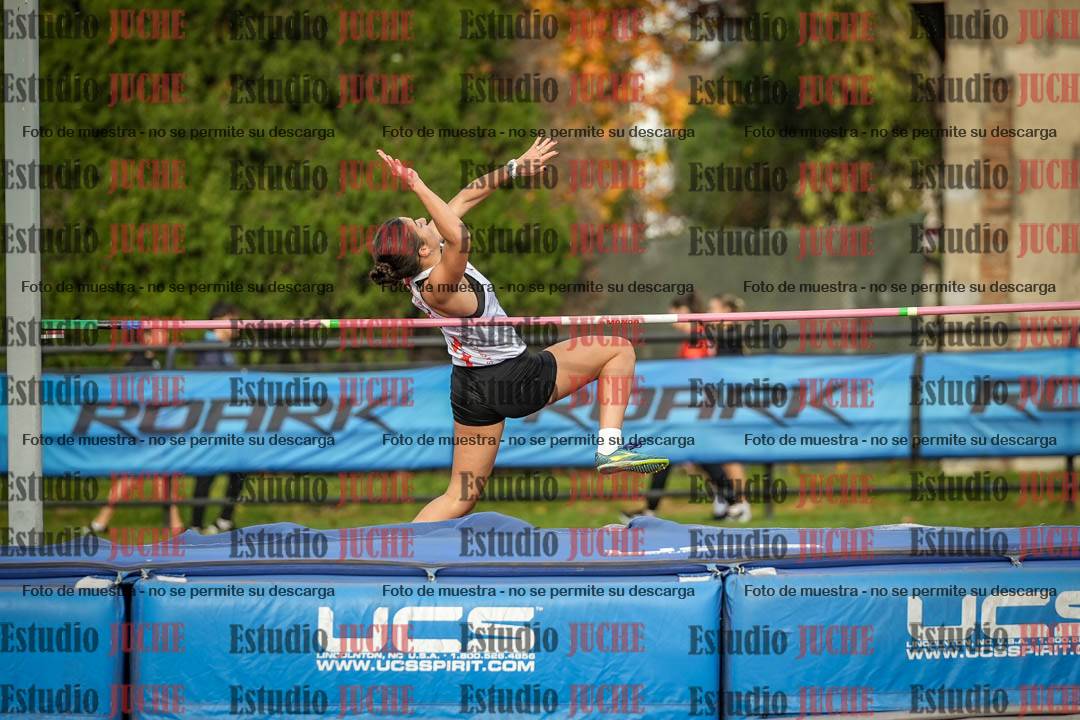 Fotos del salto en alto de mujeres - heptatlón 2