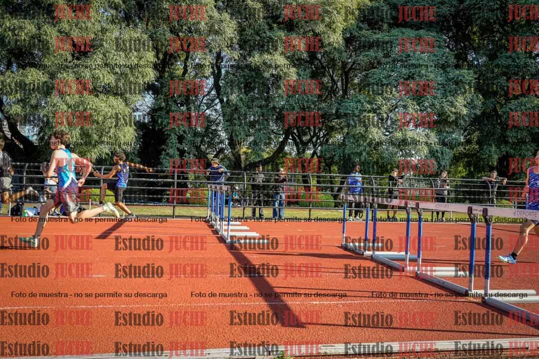 Fotos de los 110 m con vallas de varones