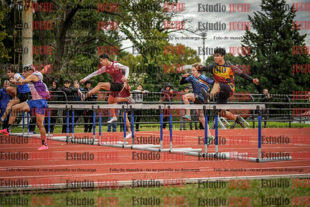 Fotos de los 110 m con vallas de varones