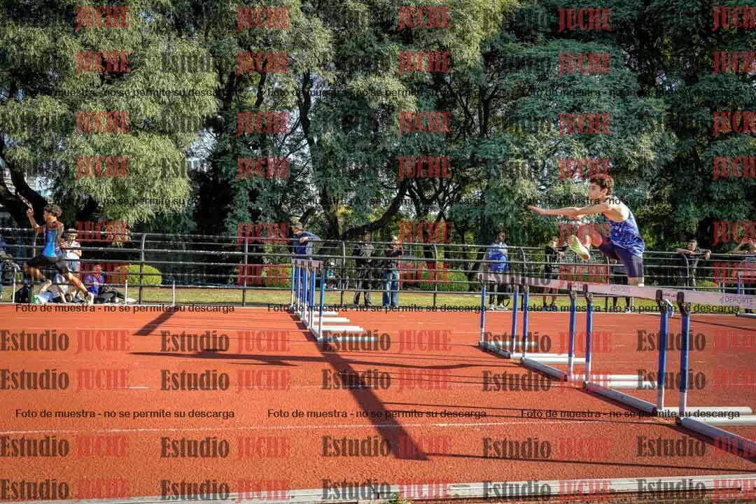 Fotos de los 110 m con vallas de varones