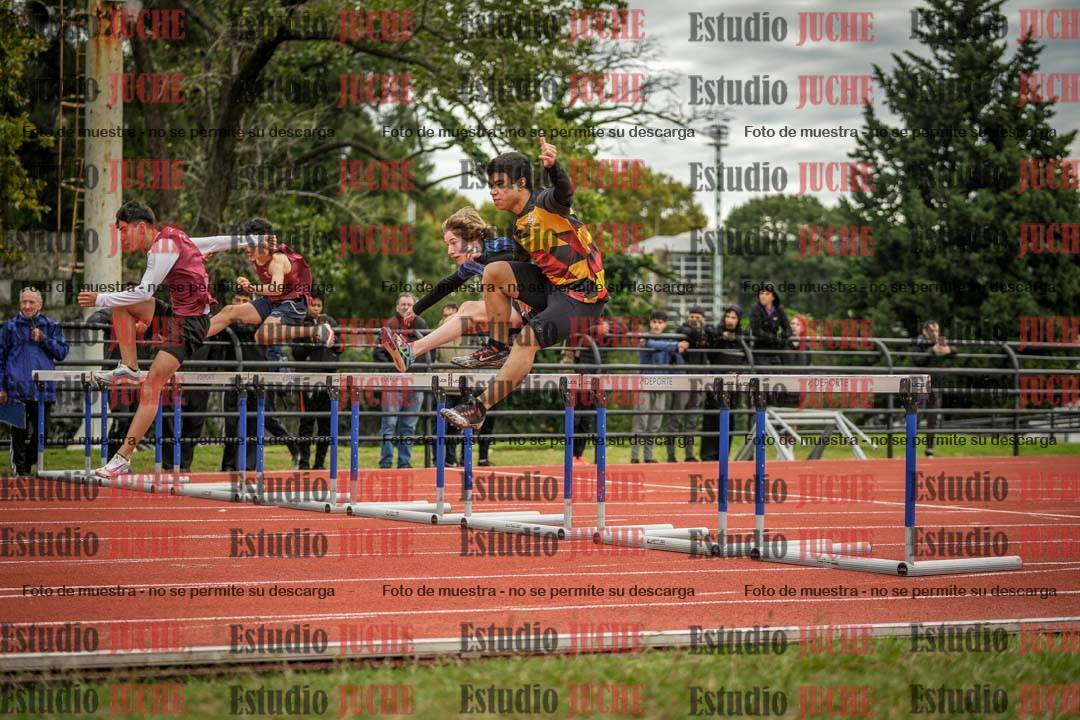 Fotos de los 110 m con vallas de varones