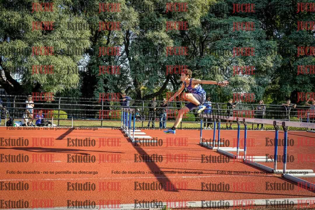 Fotos de los 110 m con vallas de varones