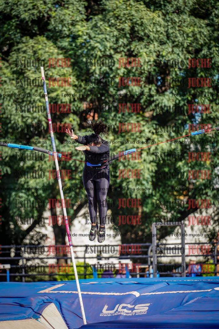 Fotos del salto con garrocha de mujeres y varones