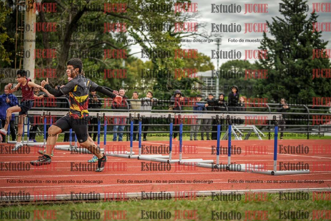 Fotos de los 110 m con vallas de varones