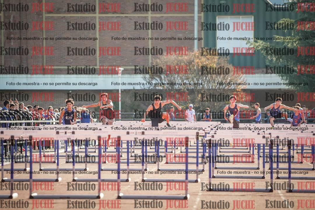 Fotos de los 110 m con vallas de varones