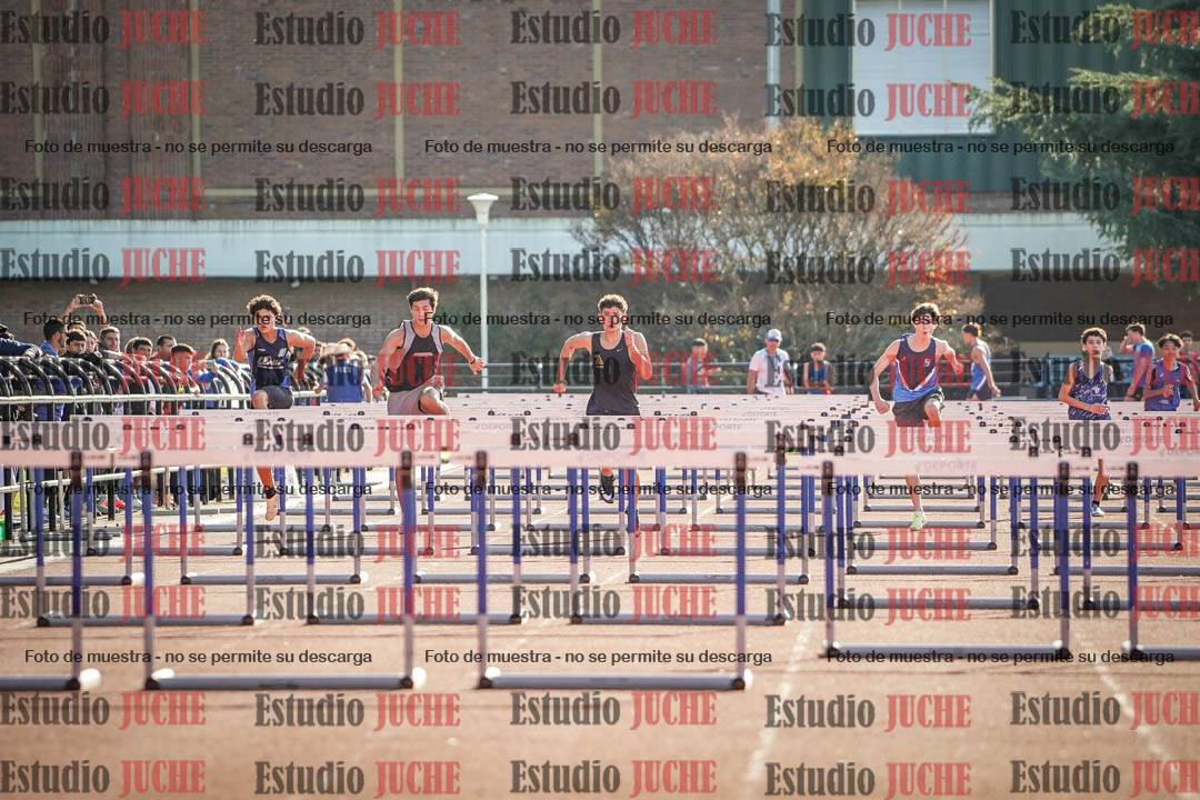 Fotos de los 110 m con vallas de varones