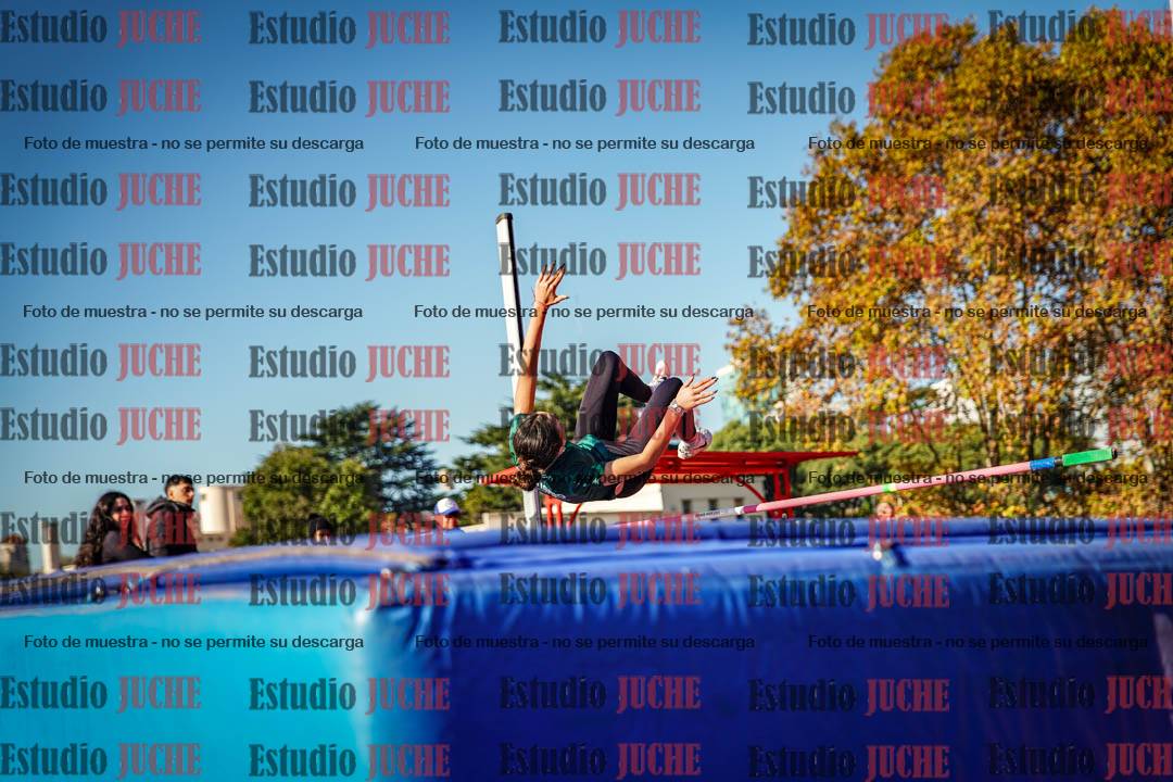 Fotos del salto en alto