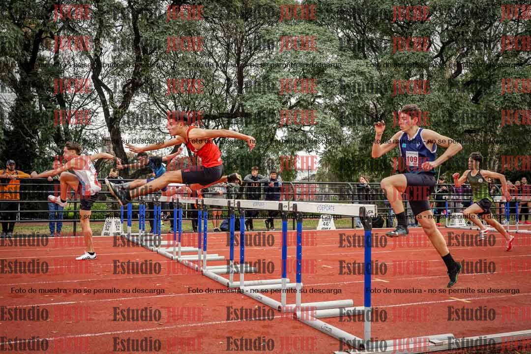 Fotos de los 110 m con vallas de varones