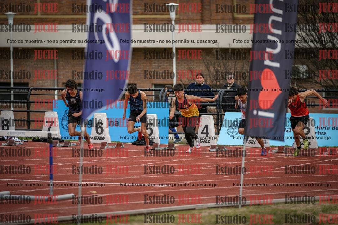 Fotos de los 110 m con vallas de varones - decatlón 6