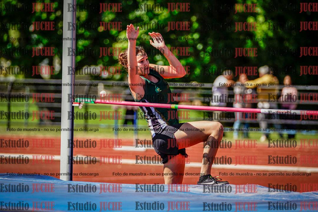 Fotos del salto en alto