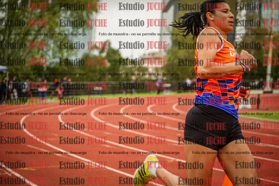 Fotos de los 800 m llanos de mujeres
