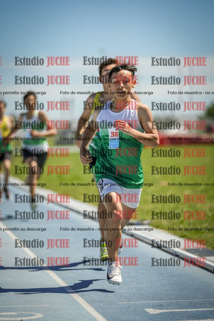 Fotos de los 600 m llanos de varones