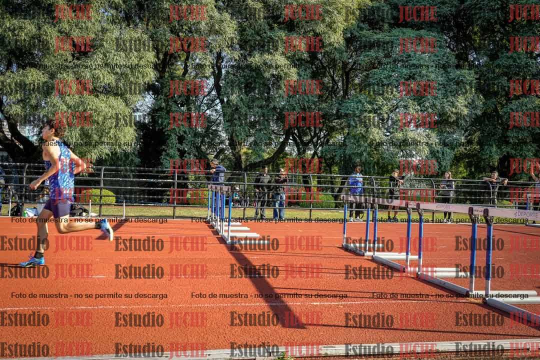Fotos de los 110 m con vallas de varones