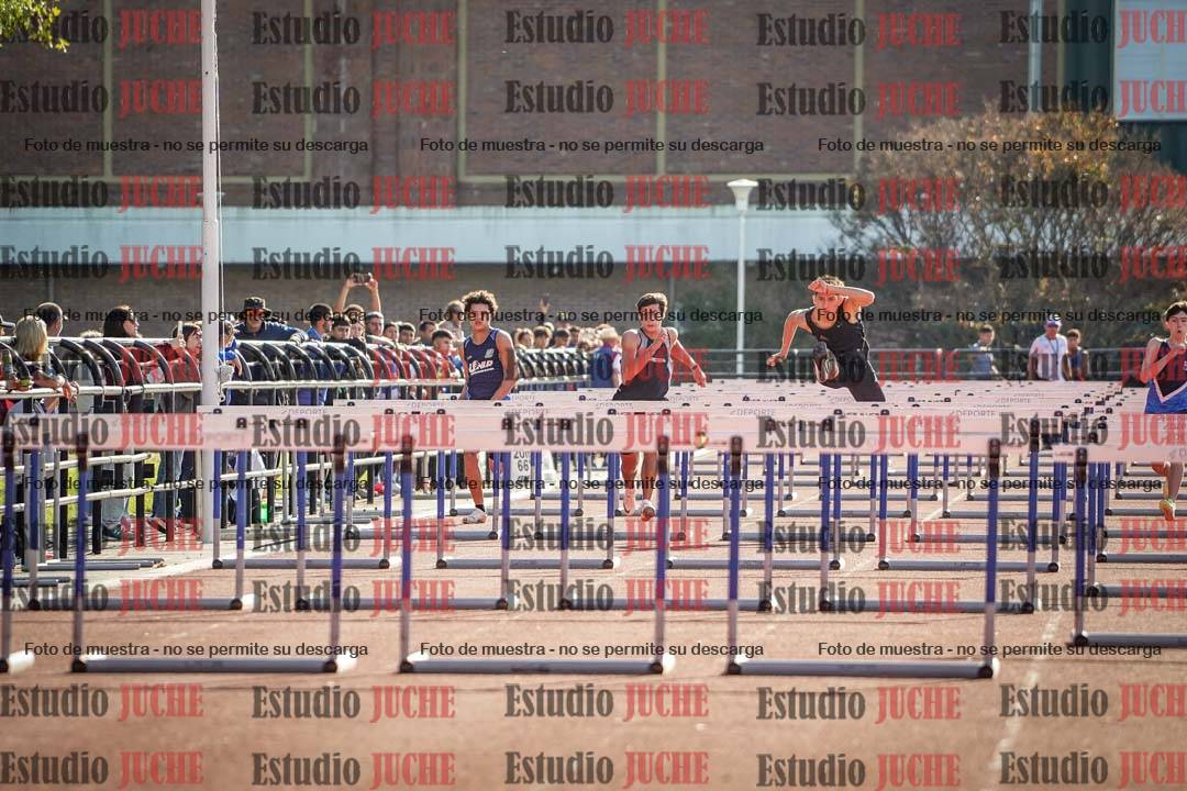 Fotos de los 110 m con vallas de varones