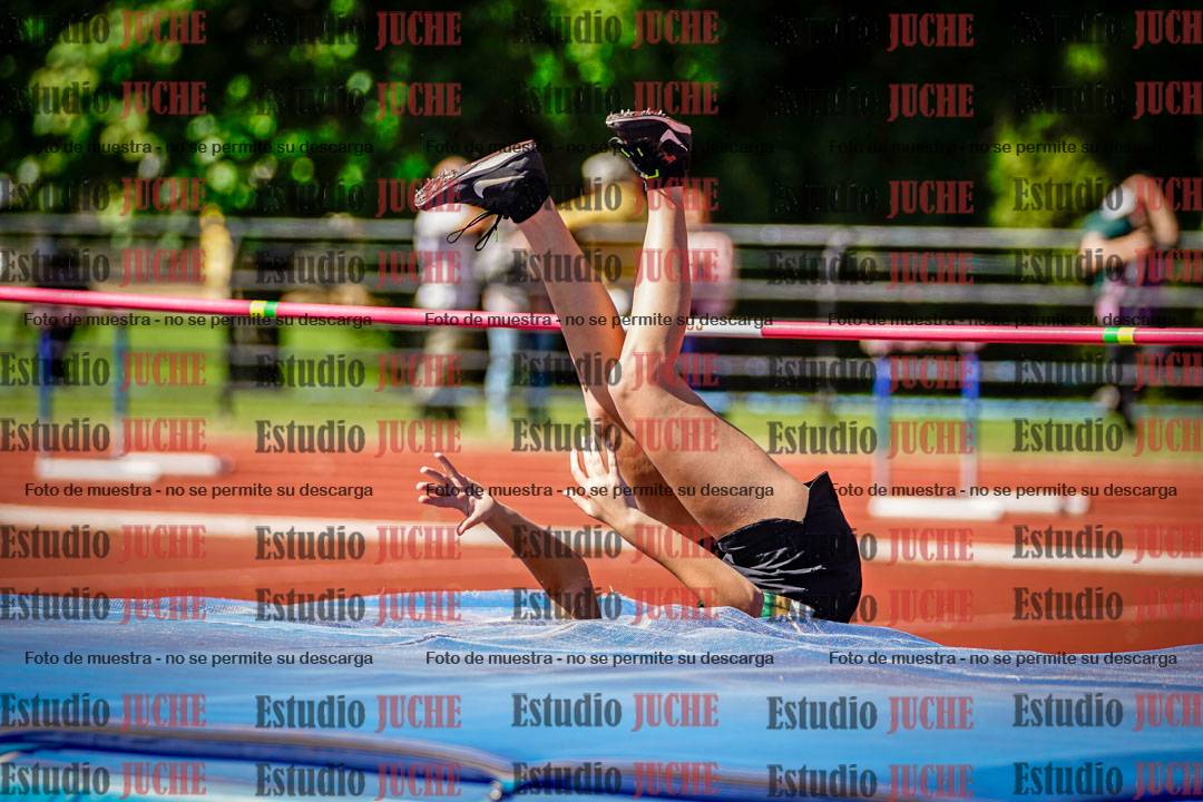 Fotos del salto en alto
