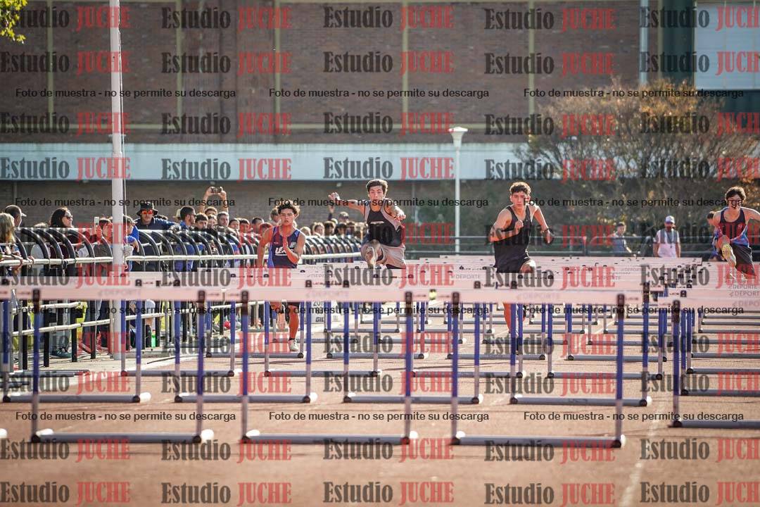 Fotos de los 110 m con vallas de varones