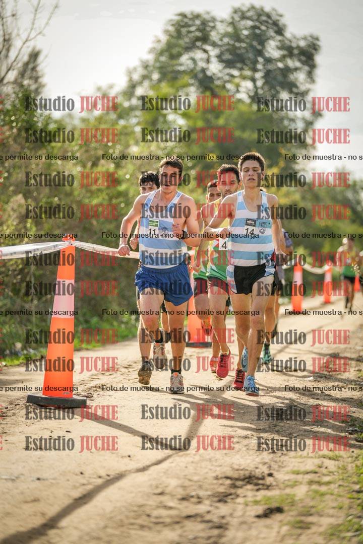 Fotos en el circuito