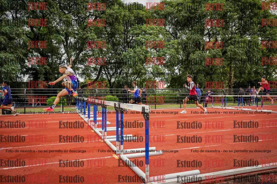 Fotos de los 110 m con vallas de varones