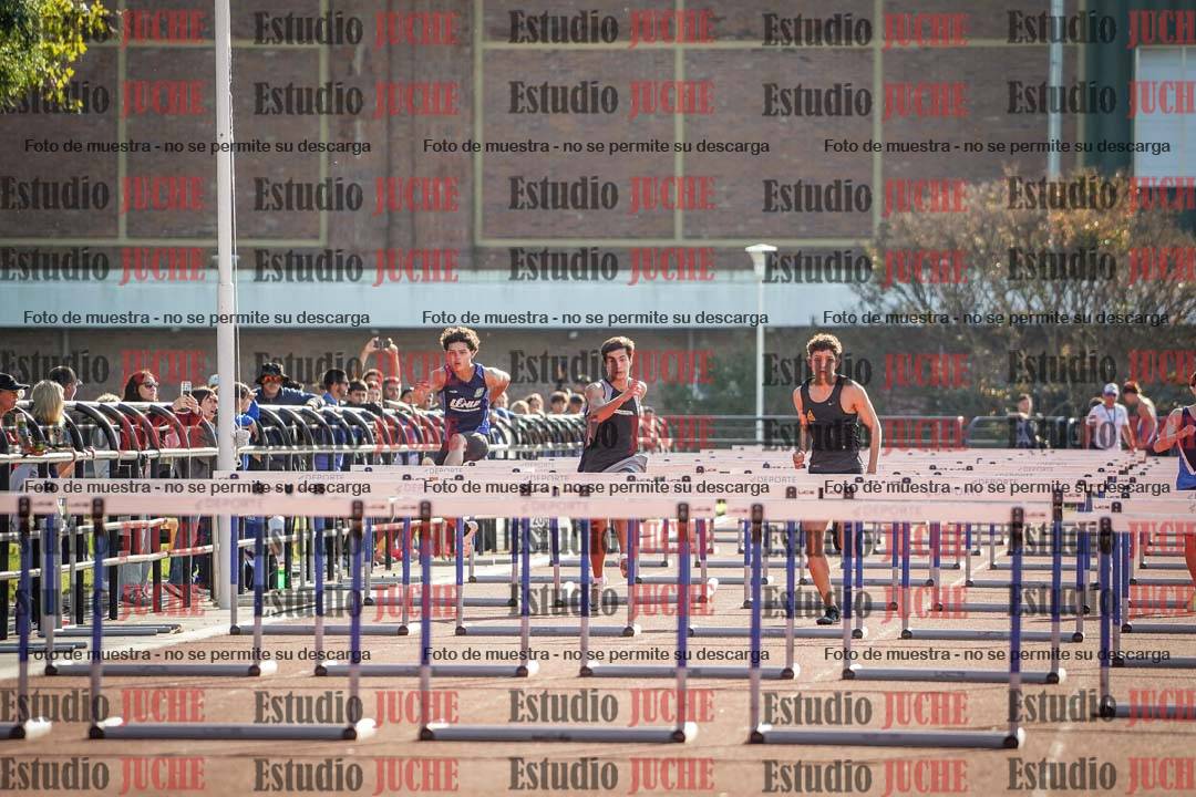 Fotos de los 110 m con vallas de varones