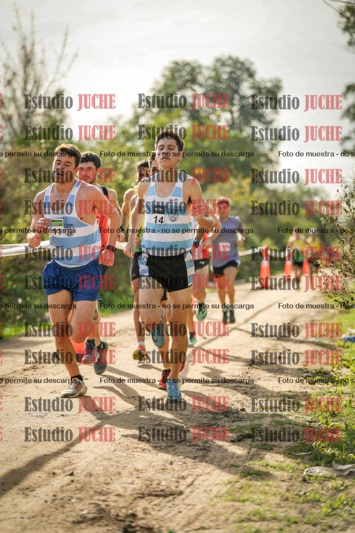 Fotos en el circuito