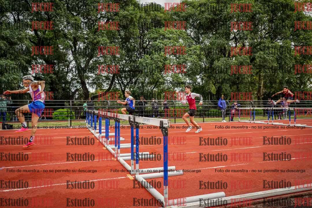Fotos de los 110 m con vallas de varones