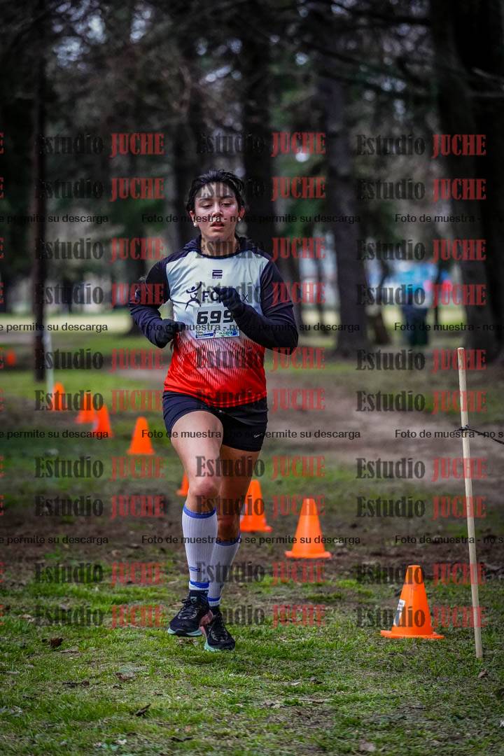 Fotos en el circuito