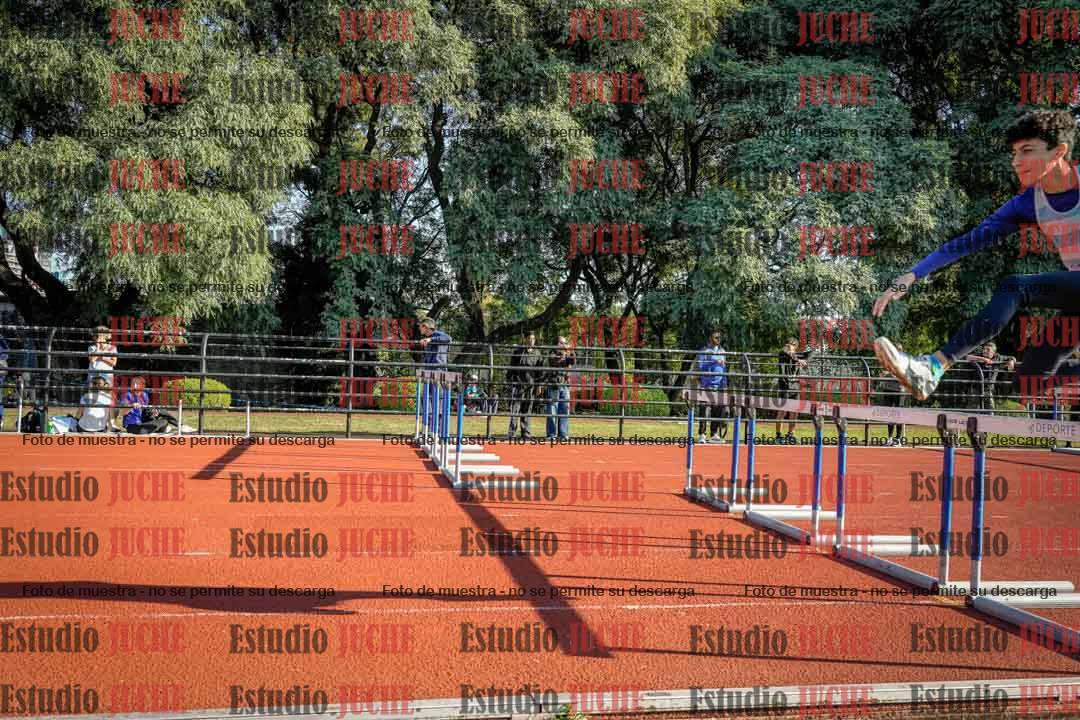 Fotos de los 110 m con vallas de varones