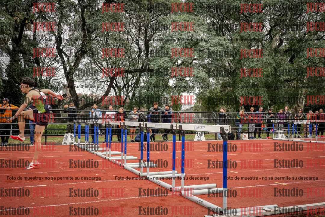 Fotos de los 110 m con vallas de varones