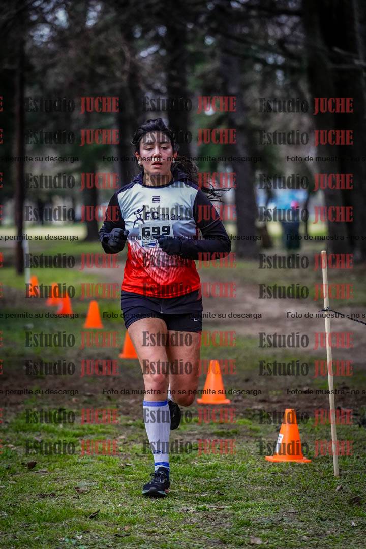 Fotos en el circuito