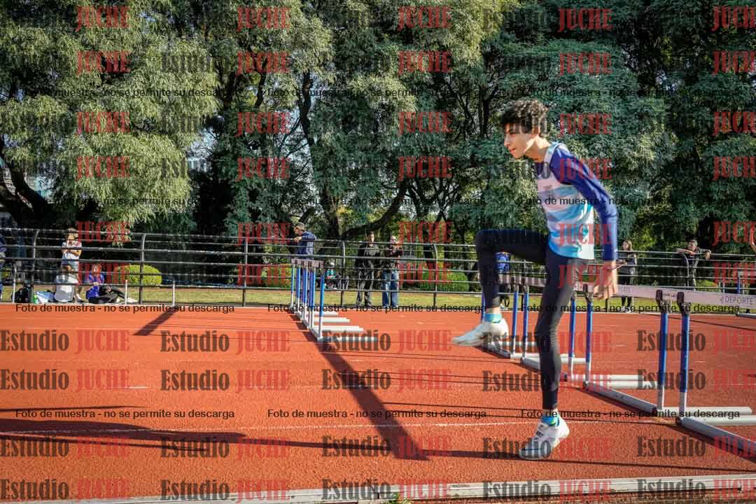 Fotos de los 110 m con vallas de varones