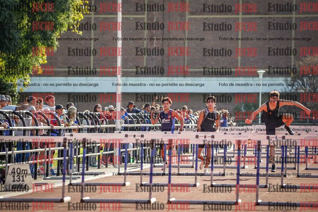 Fotos de los 110 m con vallas de varones