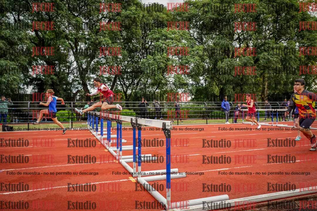Fotos de los 110 m con vallas de varones