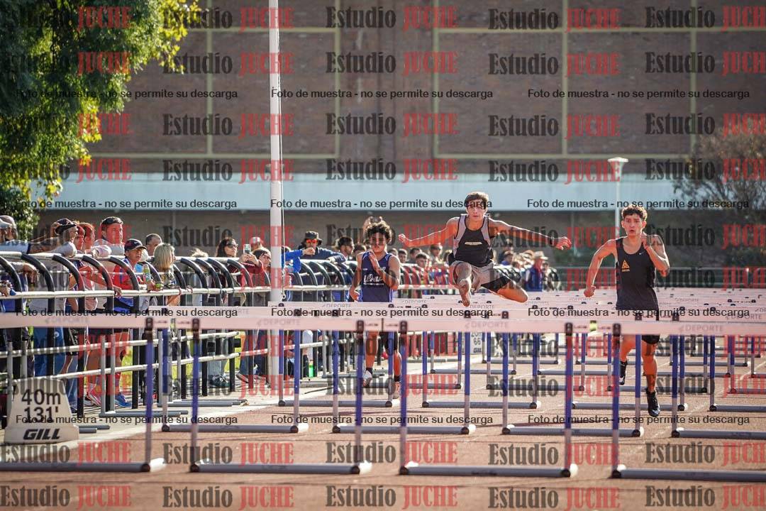 Fotos de los 110 m con vallas de varones