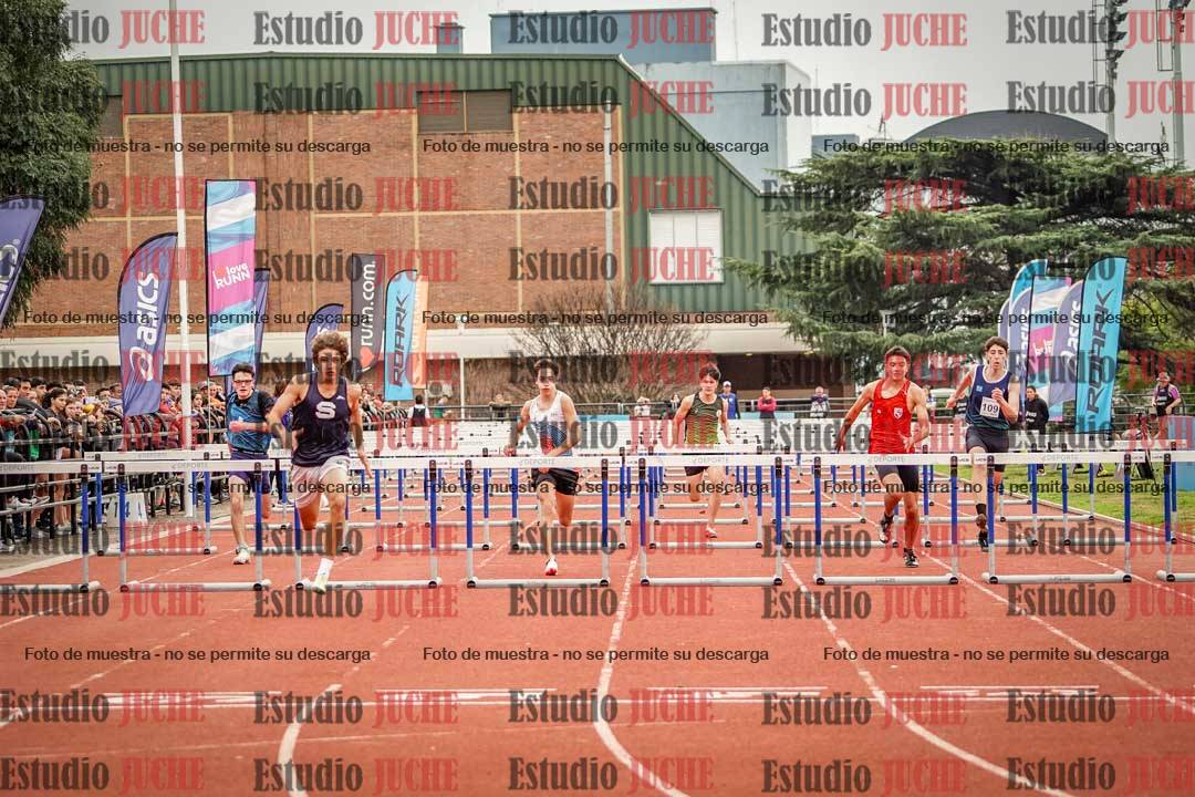 Fotos de los 110 m con vallas de varones