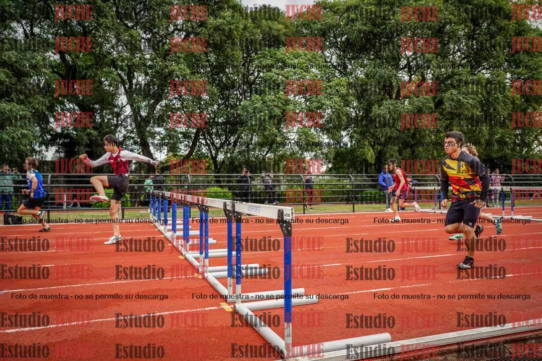 Fotos de los 110 m con vallas de varones
