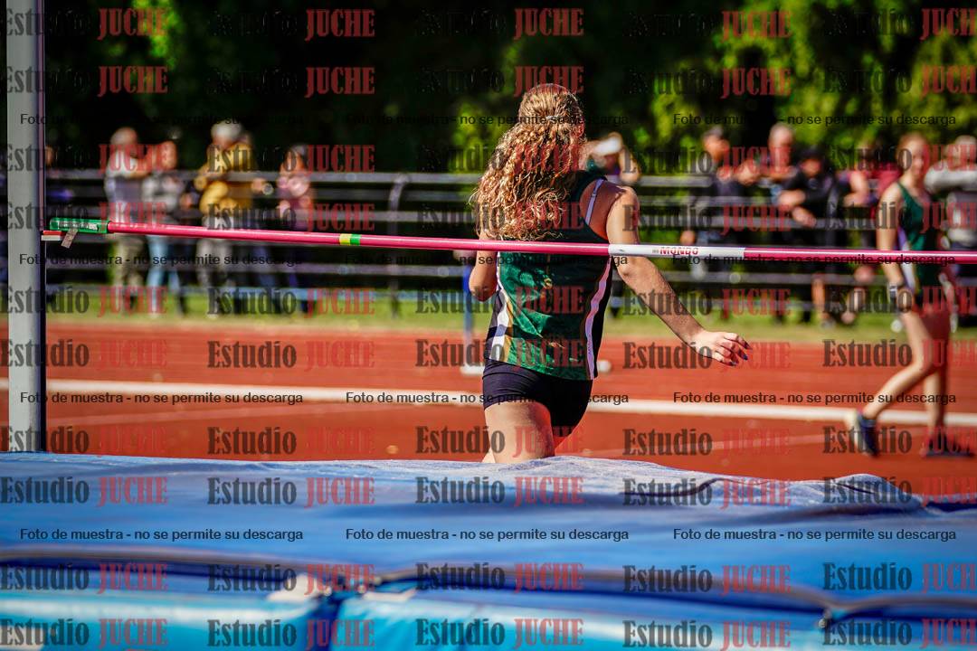 Fotos del salto en alto