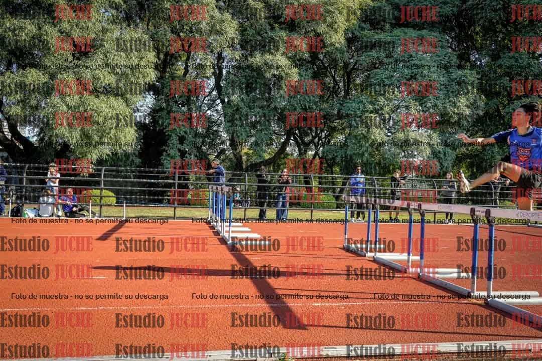 Fotos de los 110 m con vallas de varones