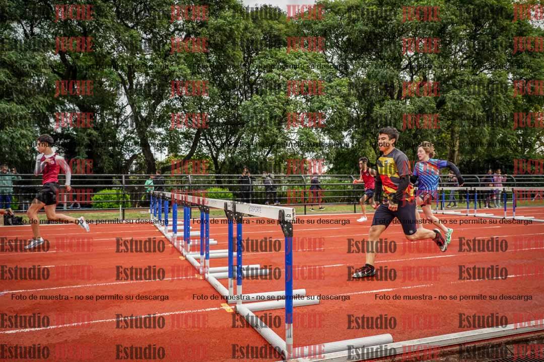 Fotos de los 110 m con vallas de varones