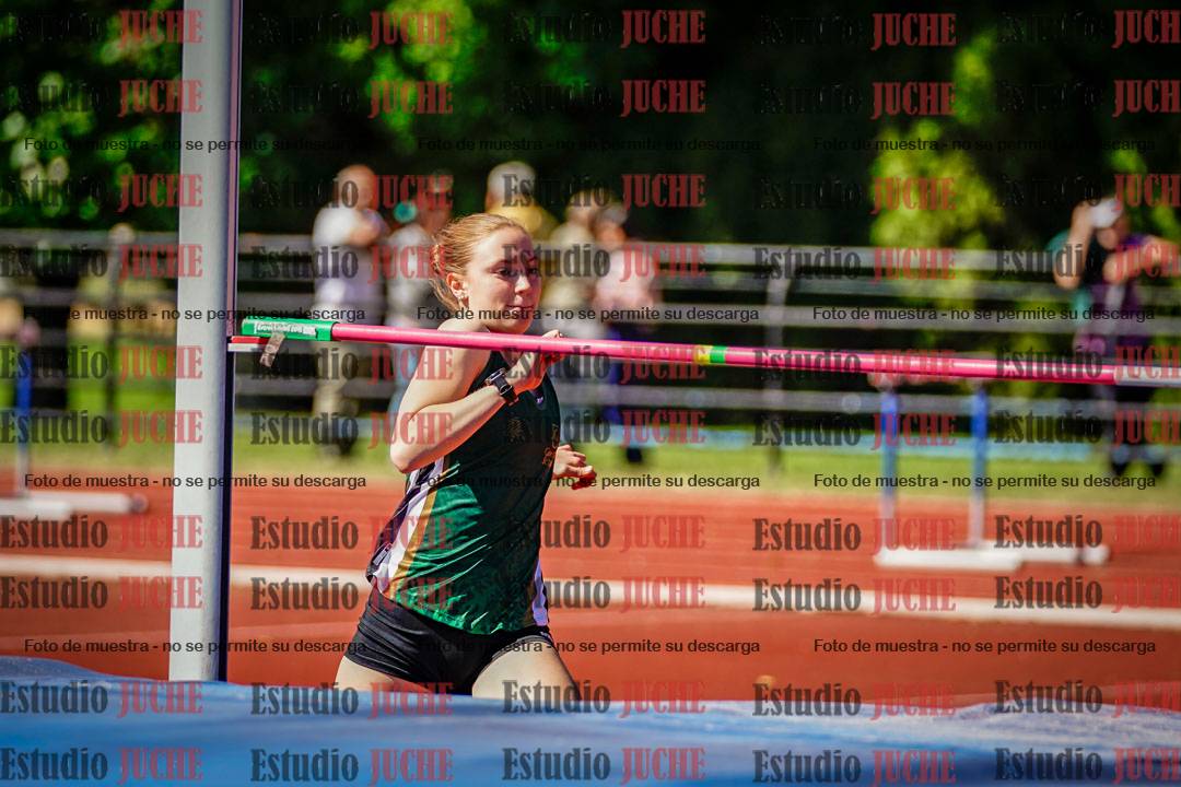 Fotos del salto en alto