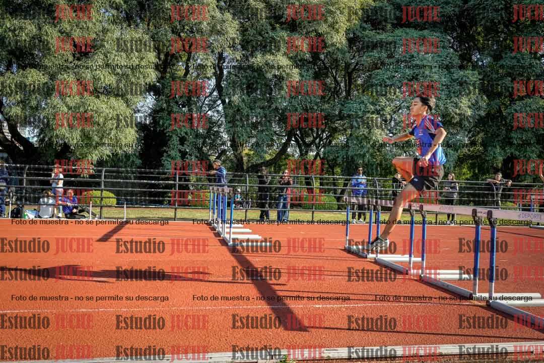 Fotos de los 110 m con vallas de varones