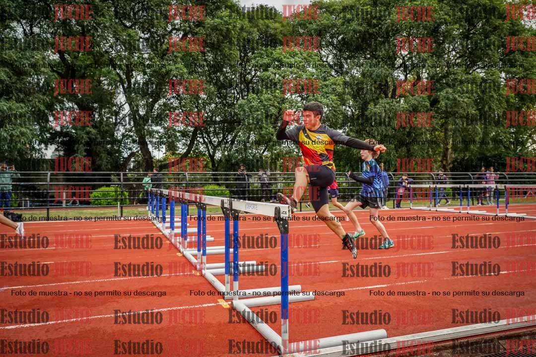 Fotos de los 110 m con vallas de varones