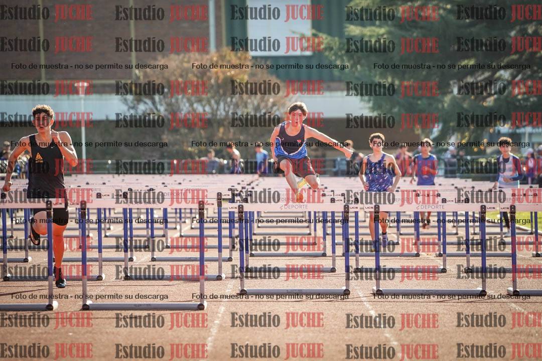 Fotos de los 110 m con vallas de varones