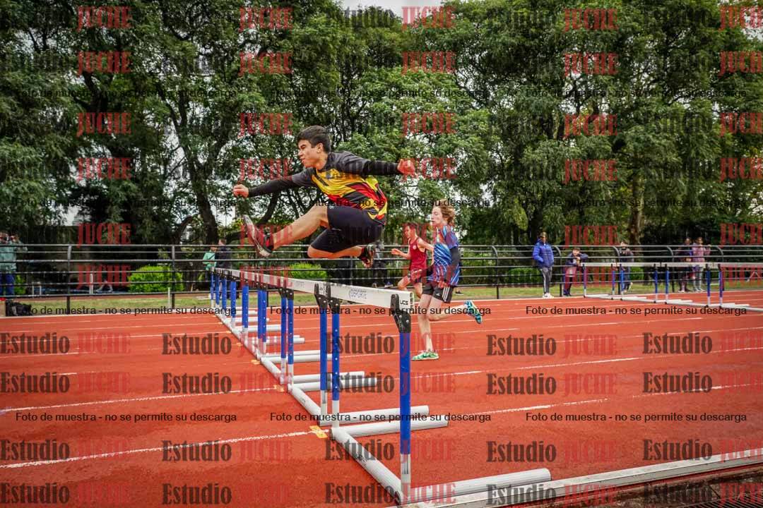 Fotos de los 110 m con vallas de varones