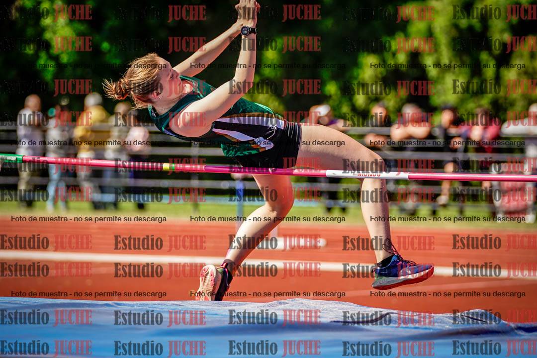 Fotos del salto en alto
