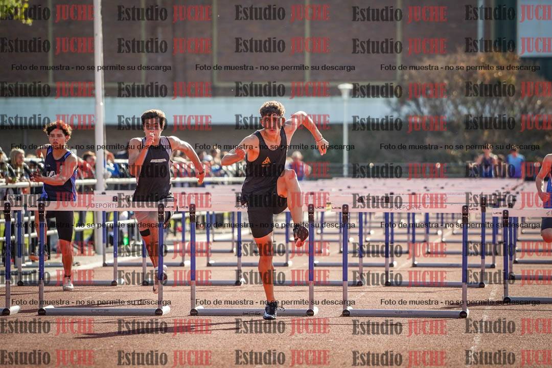 Fotos de los 110 m con vallas de varones