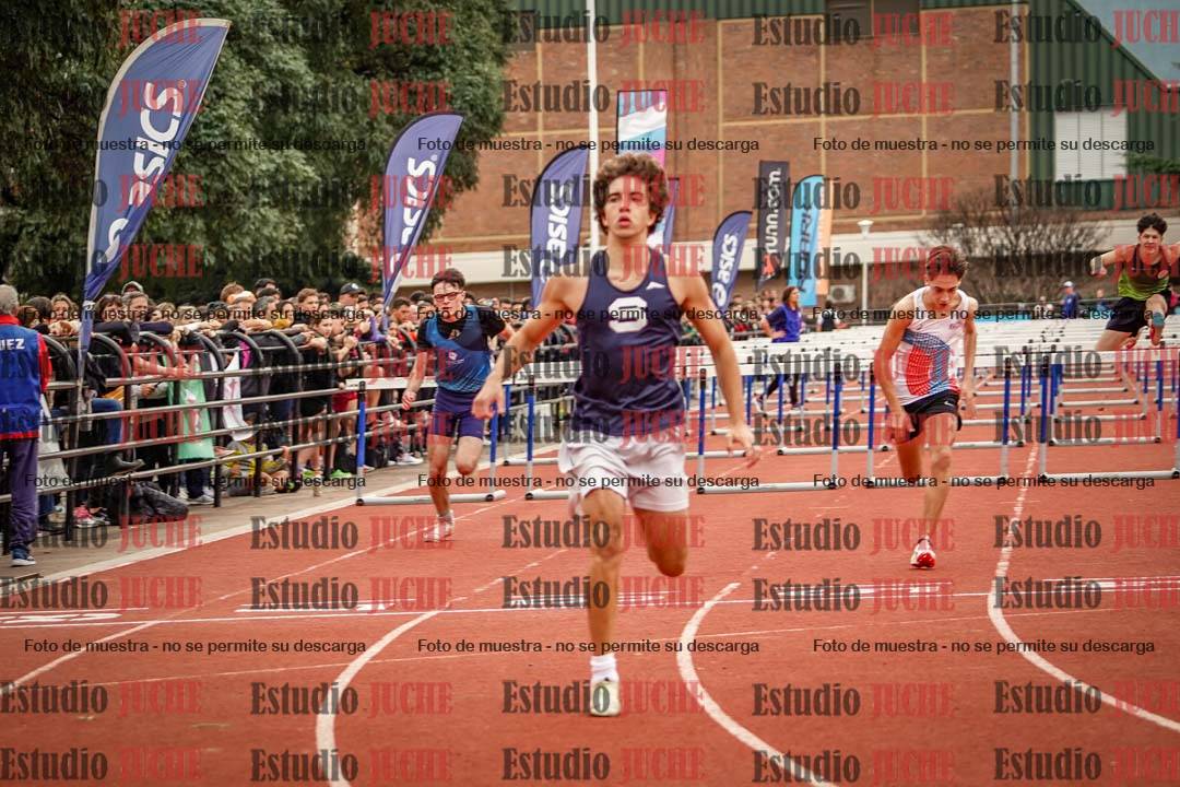 Fotos de los 110 m con vallas de varones