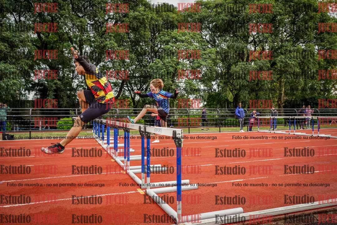 Fotos de los 110 m con vallas de varones