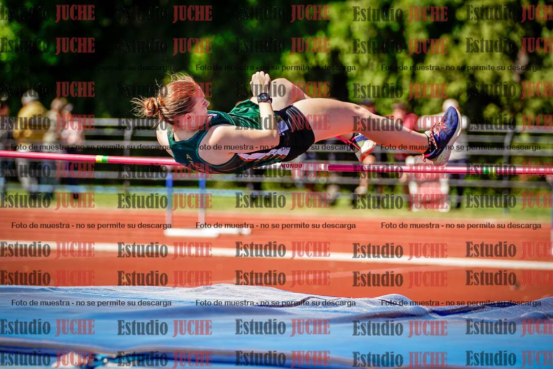 Fotos del salto en alto