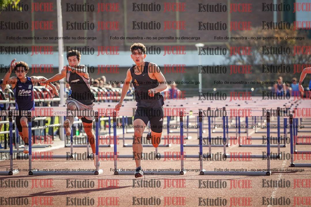 Fotos de los 110 m con vallas de varones