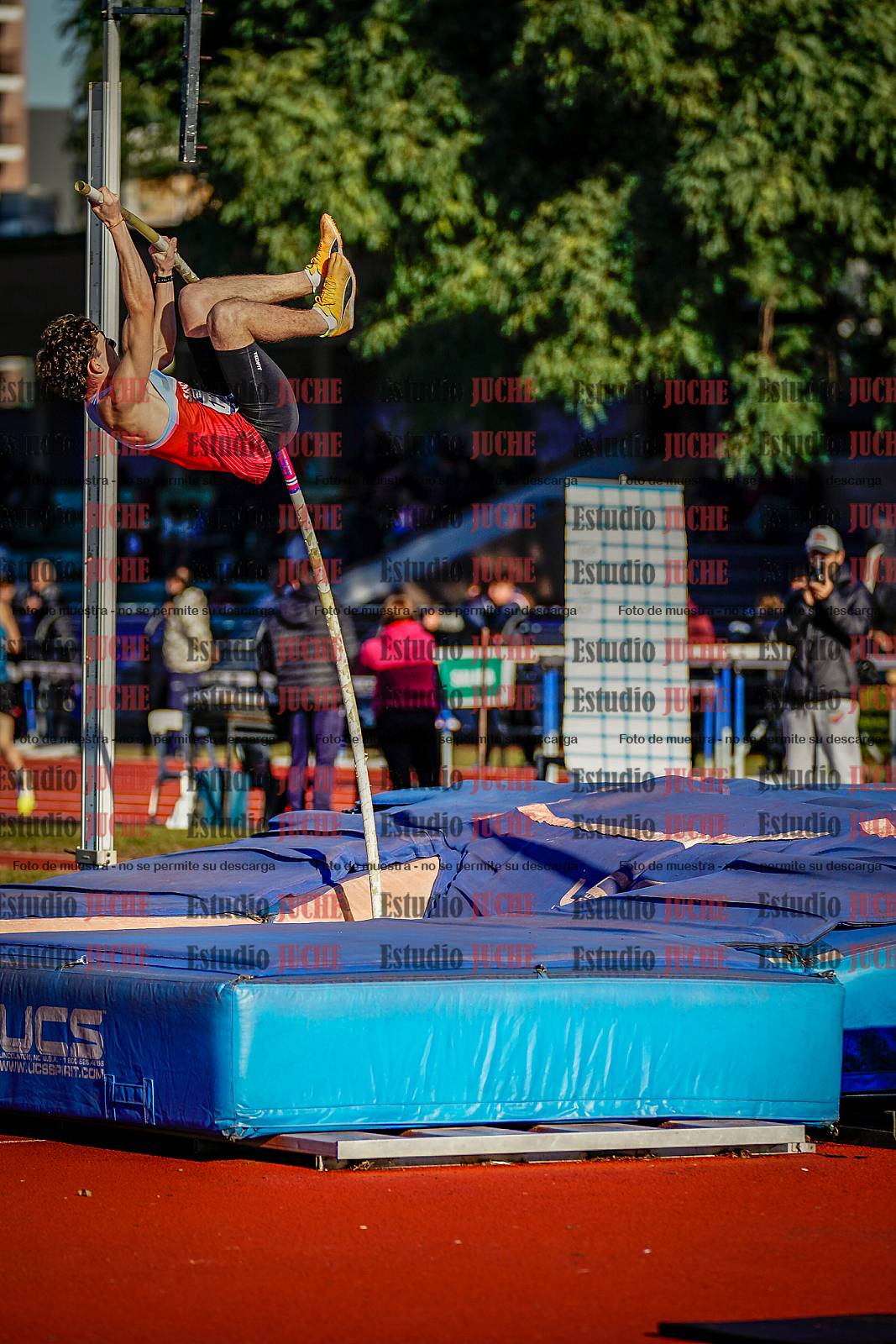 Fotos del salto con garrocha de varones